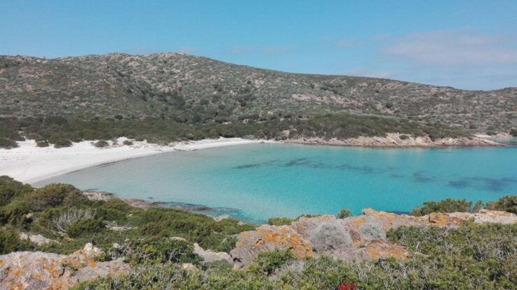 Asinara National Park: Full Day Off-Road Tour - Itinerary