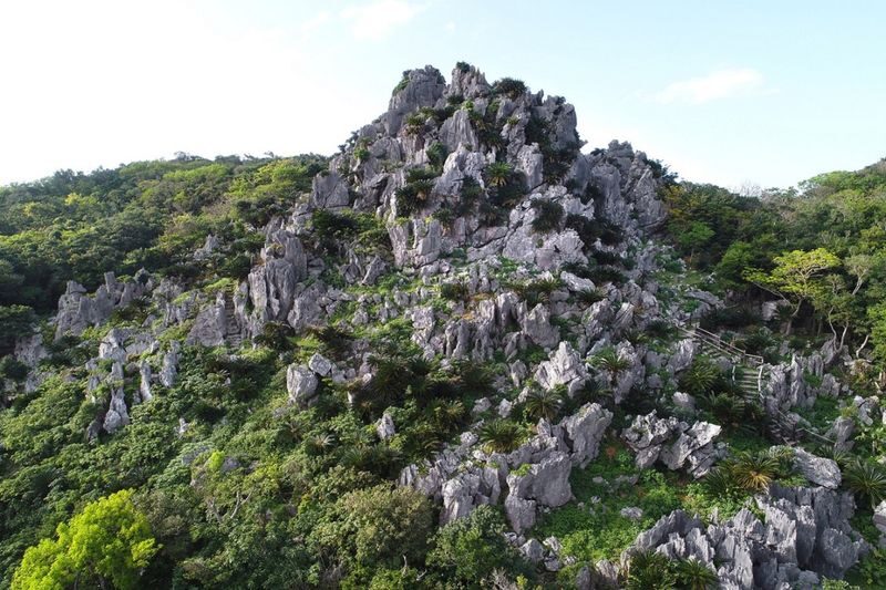 Asmui Hikes Admission in Okinawa - What the admission price gets you