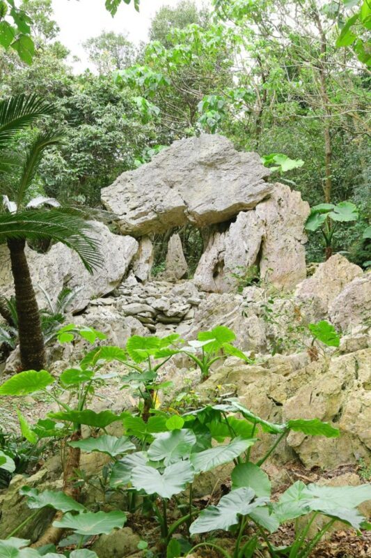 Asmui Hikes Admission in Okinawa - Should you book Asmui Hikes?