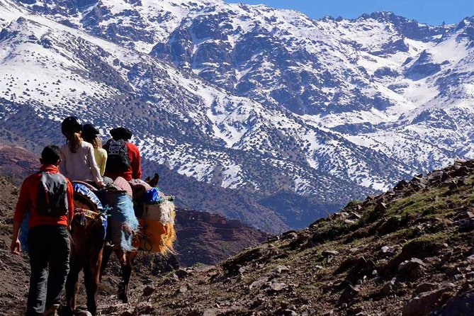 Asni and Imlil Day Tour With Lunch in Kasbah Toubkal Included - Common Questions