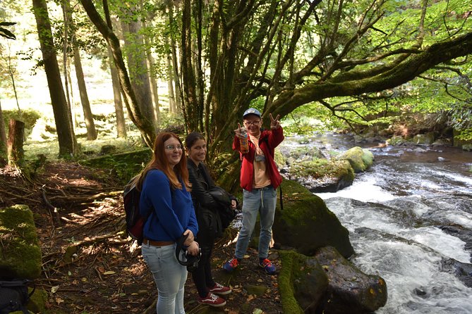 Aso Caldera and Farm Experience Tour - Reviews Summary