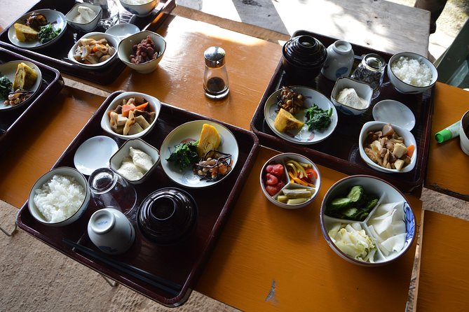 Aso Caldera and Farm Experience Tour - Booking Information