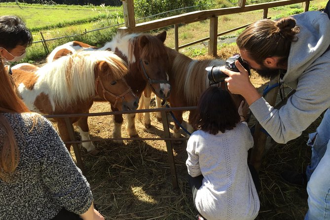 Aso Cycling and Farming Private Tour - Miscellaneous
