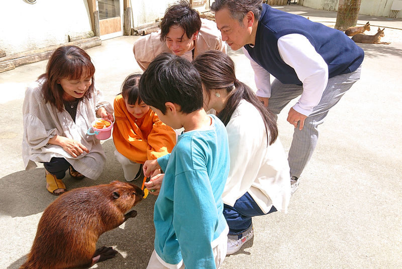 Aso Farm Land Ticket - Genki no Mori: outdoor movement and playful challenges