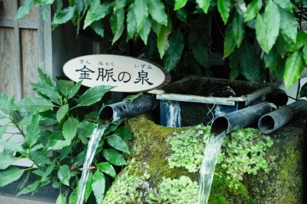Aso: Monzenmachi Walking Tour With Spring Water and Herb Tea - Common Questions