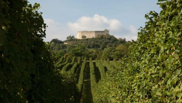 Asolo: Prosecco and Art - Private Tour&Taste With Sommelier - Frequently Asked Questions