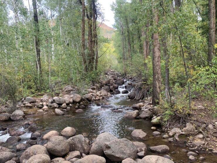 Aspen: Guided Light Hike With Roaring Fork River Views - Good To Know