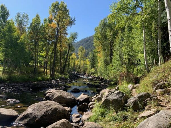 Aspen: Guided Light Hike With Roaring Fork River Views - History, Nature, and Culture