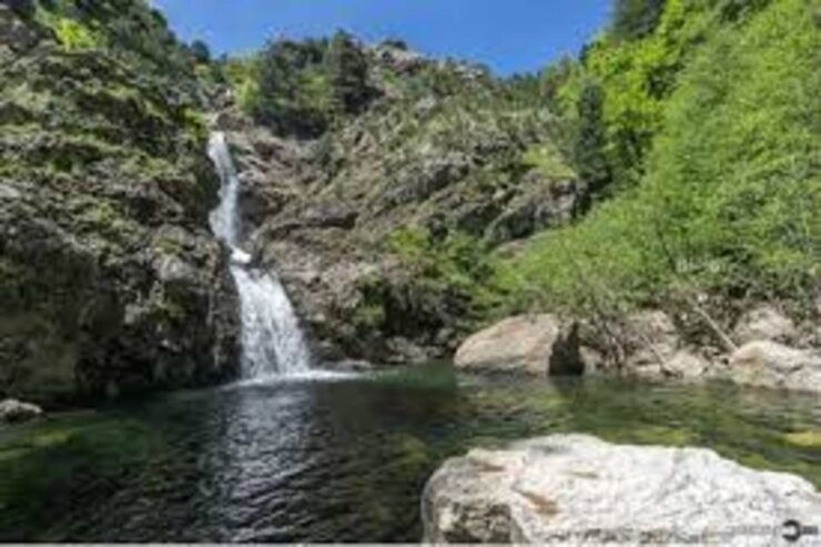 Aspromonte National Park: Private Trek to the Maesano Falls - Activity Details