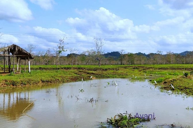 Assam Tea Tour, Wildlife, Tribal Village & Tea Bungalow Stay 2 Nights 3 Days - Inclusions