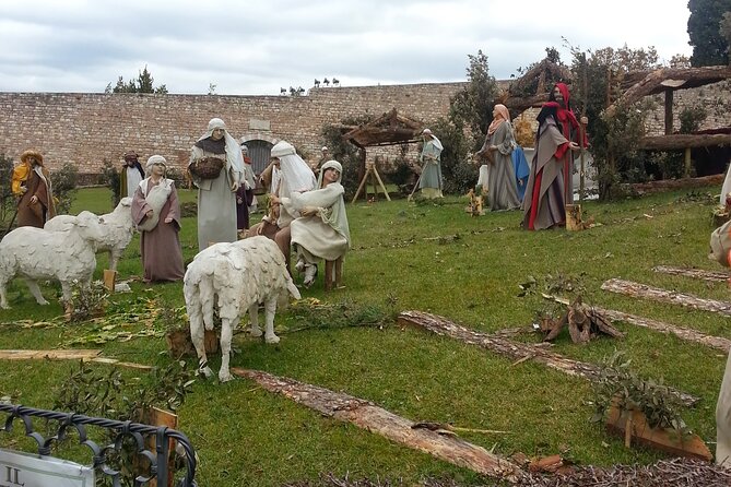 Assisi and Cascia (St. Francis, St. Claire and St. Rita) Private Tour From Rome. - Cancellation Policy