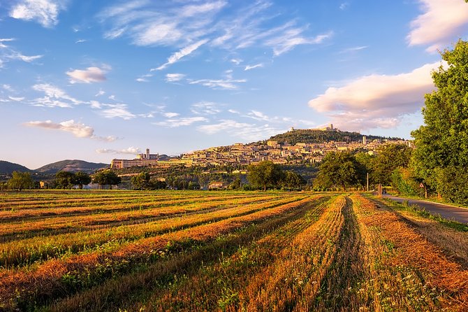 Assisi Best Highlights a Private Tour With Licensed Tour Guide - Panoramic Views of the City