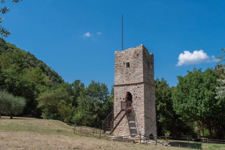 Assisi: Bosco Di San Francesco Entry Ticket - Ticket Details and Booking Options