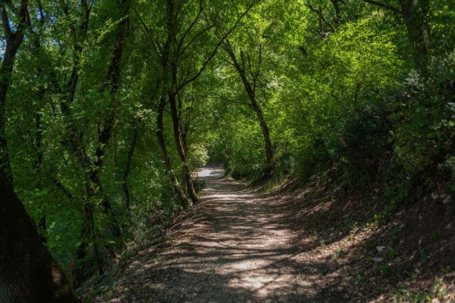 Assisi: Bosco Di San Francesco Entry Ticket - Customer Rating and Reviews