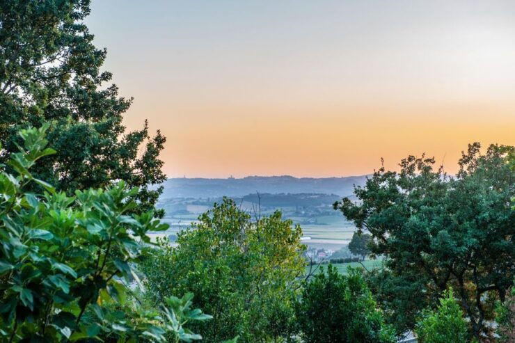 Assisi by Driver and Guide. Panoramic and Historical Tour - Tour Information and Highlights