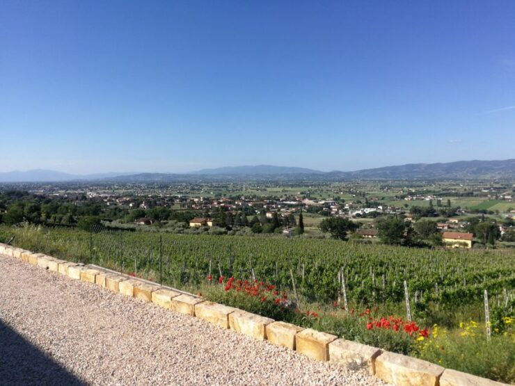 Assisi: Organic Balsamic Vinegar, Olive Oil & Wine Tour - Activity Duration and Itinerary