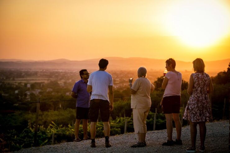 Assisi: Organic Winery Tour With Tastings & Typical Food - Activity Details