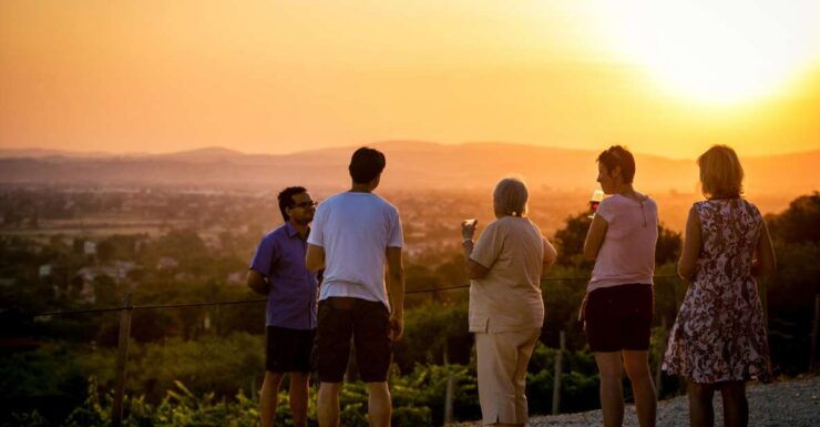 Assisi: Organic Winery Tour With Tastings & Typical Food - Experience Highlights