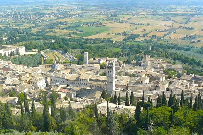 Assisi & Orvieto: Private Full-Day Journey From Rome - Tour Highlights