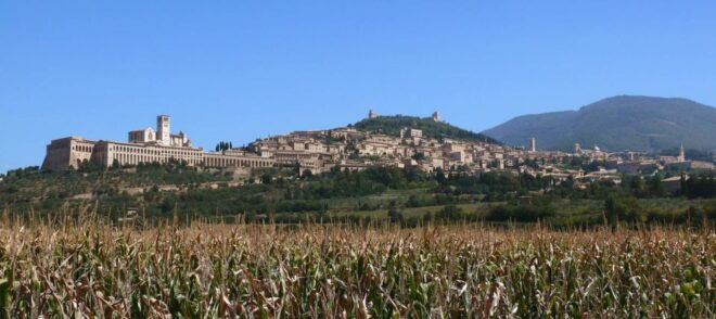 Assisi: Walking Tour With St. Francis Basilica Visit - Full Description