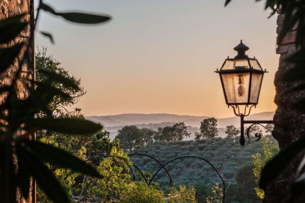 Assisi: Walking Tour With St. Francis Basilica Visit - Customer Reviews