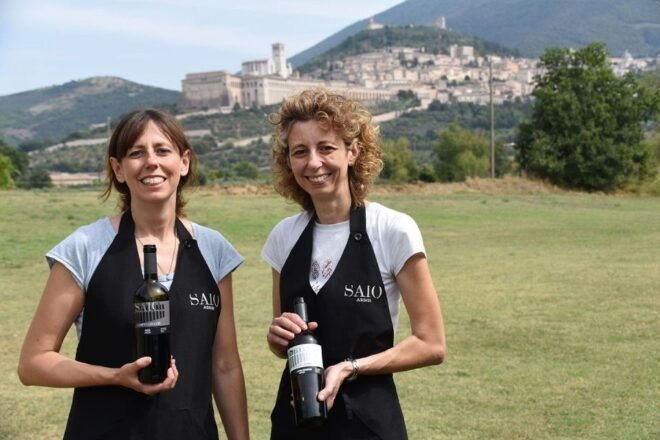 Assisi: Wine Tasting, Gourmet Pairing, Walk in the Vineyards - Multilingual Experience and Cancellation Policy
