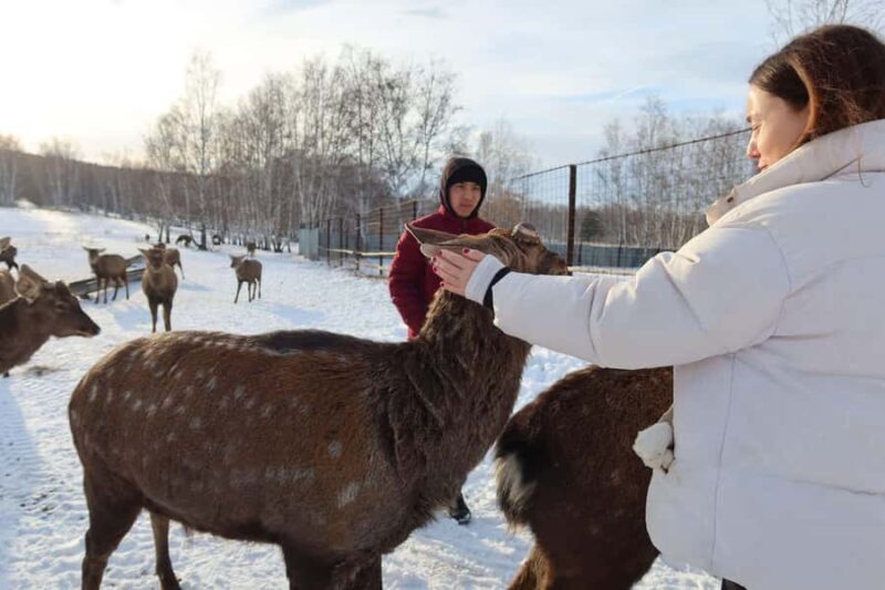 Astana: Burabay Nature, Wine, Cheese, and Horseback Ride - A Heartwarming Lunch