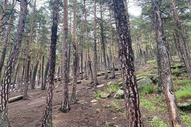 Astana: Burabay Oasis National Park Unforgettable Adventure - An Overview of the Tour Experience