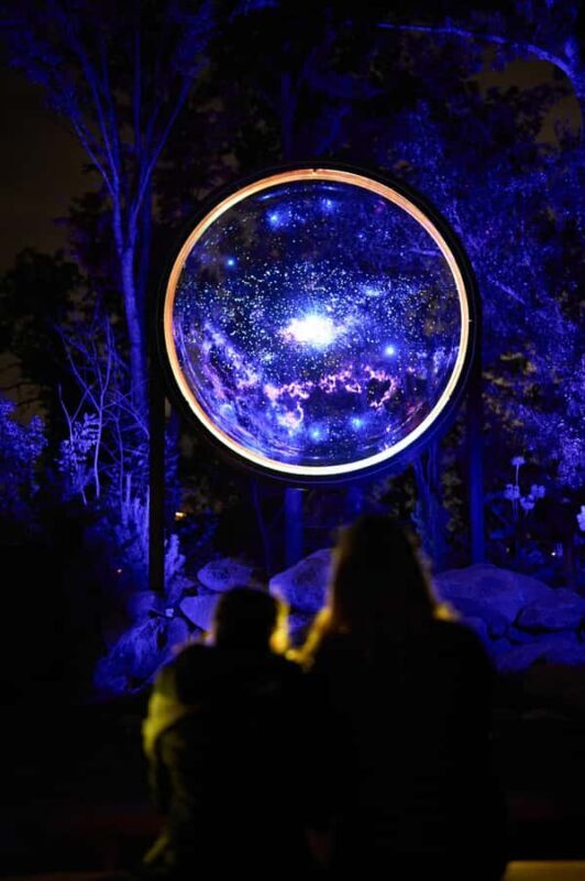 Astra Lumina Entry at Currumbin Wildlife Sanctuary - Who Should Consider Astra Lumina?