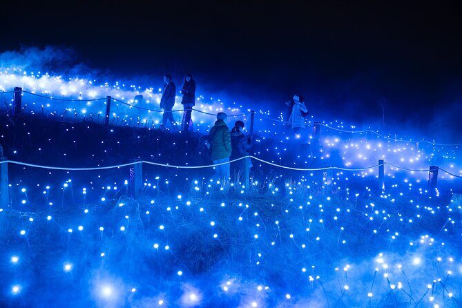 Astra Lumina Night Walk at Currumbin Wildlife Sanctuary - FAQ