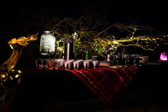 Astronomical Tour "Under the Atacama Night" - Unveiling the Wonders of the Night Sky