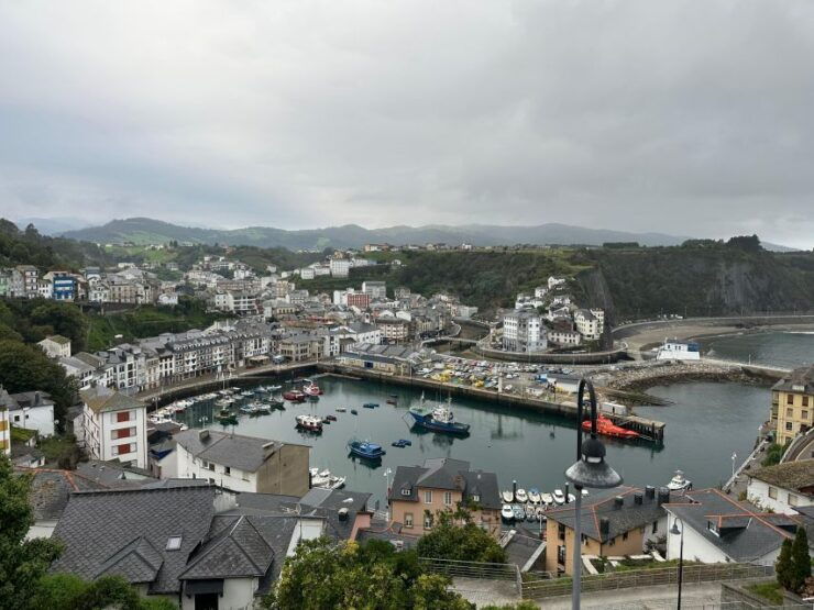 Asturias Occidental Coast Cudillero and Cathedrals Beach - Tour Highlights