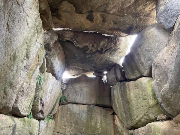 Asuka: Discover Origin of Japan–Historical Site and Nature - Booking and Cancellation Policies