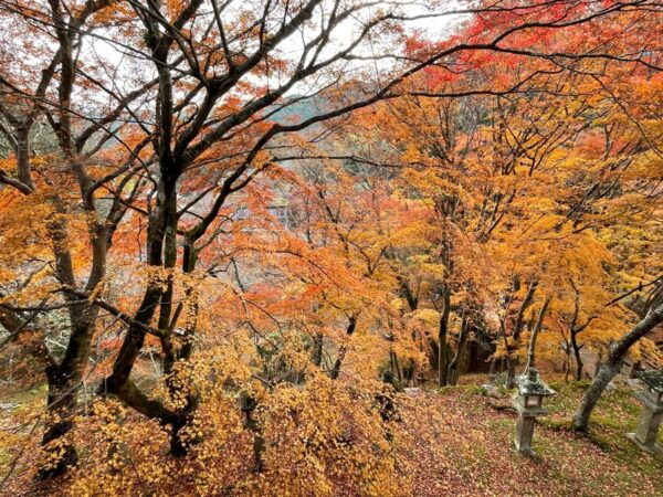 Asuka: Discover Origin of Japan–Historical Site and Nature - Frequently Asked Questions