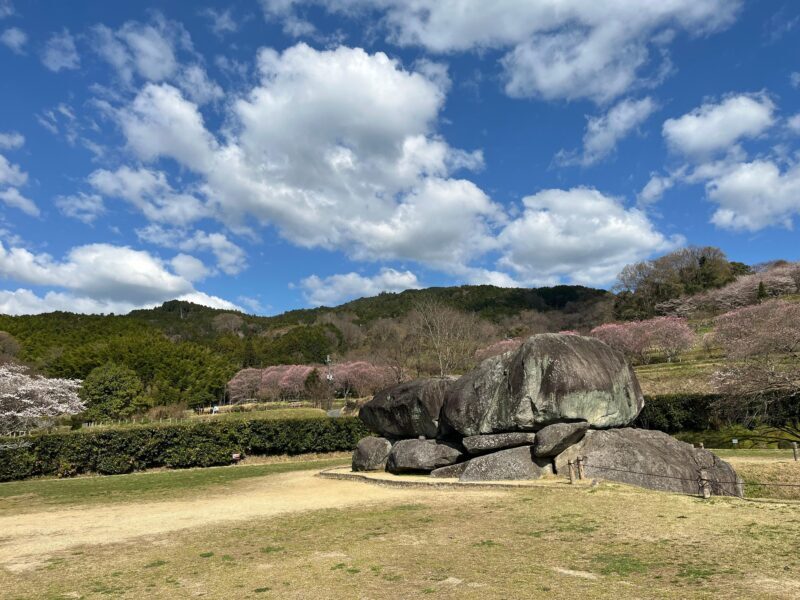 Asuka: Private Guided tour of an ancient capital of Japan - Practical Considerations