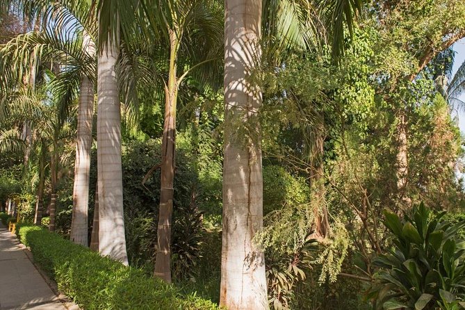 Aswan Botanical Garden and Felucca Ride - Activities