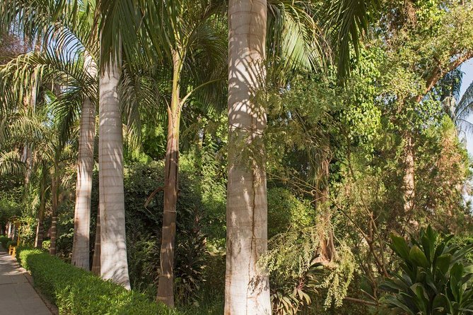 Aswan Botanical Garden and Felucca Ride - Language Options