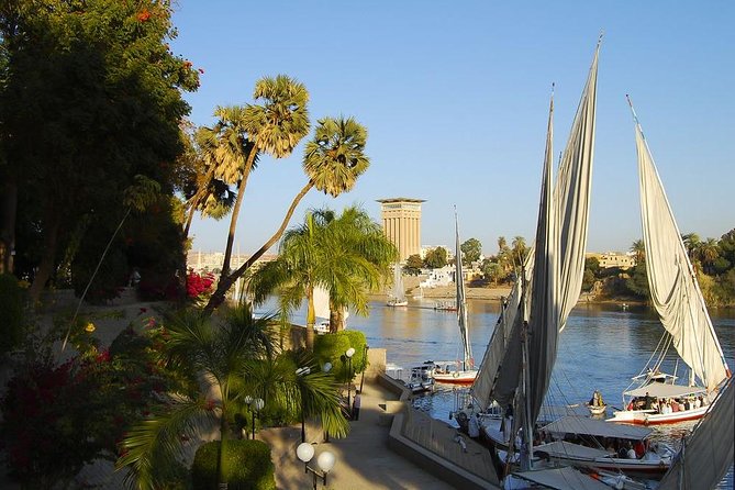 Aswan Botanical Garden - The Sum Up