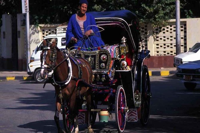 Aswan City Private Tour by Horse Carriage - Good To Know