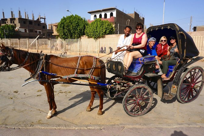 Aswan City Private Tour by Horse Carriage - Inclusions