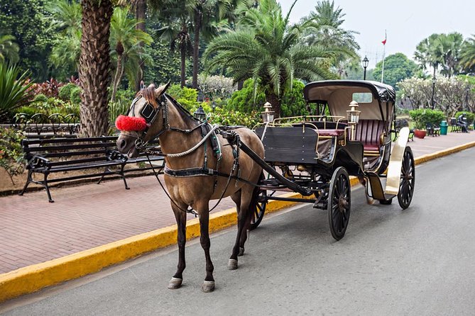 Aswan City Private Tour by Horse Carriage - Meeting and Pickup Details
