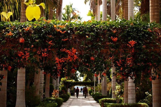 Aswan : River Nile Felucca Trip to Botanical Island & Entrance Fees - Pickup and Drop-off