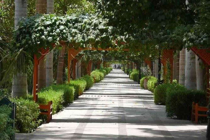 Aswan : River Nile Felucca Trip to Botanical Island & Entrance Fees - Additional Information