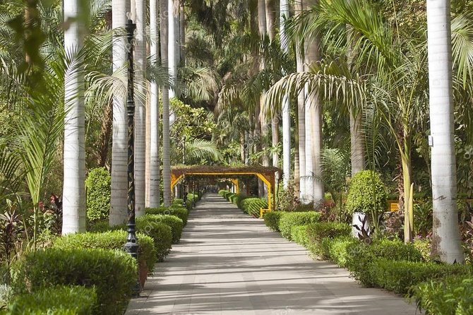 Aswan : River Nile Felucca Trip to Botanical Island & Entrance Fees - Directions