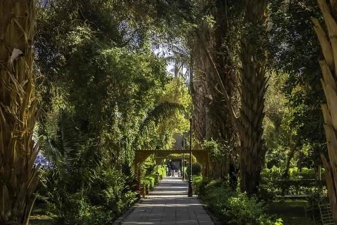 Aswan : River Nile Felucca Trip to Botanical Island & Entrance Fees - Booking Confirmation