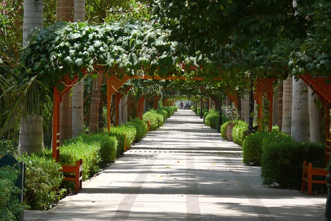 Aswan Sightseeing (High Dam, Phiela Island & Unfinished Obelisk). - Pickup and Drop-off Details