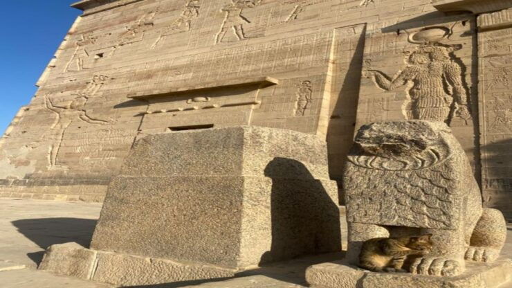 Aswan Sightseeing Tour- Half Day Temple of Philae - High Dam - Temple of Philae