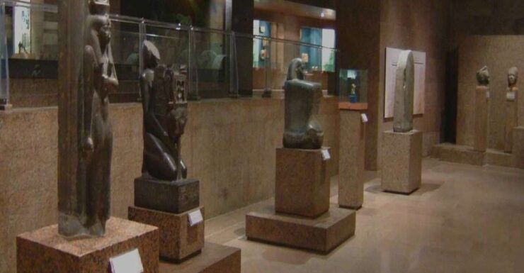 Aswan: The Nubian Museum Private Tour & Tickets - Experience Highlights at the Museum