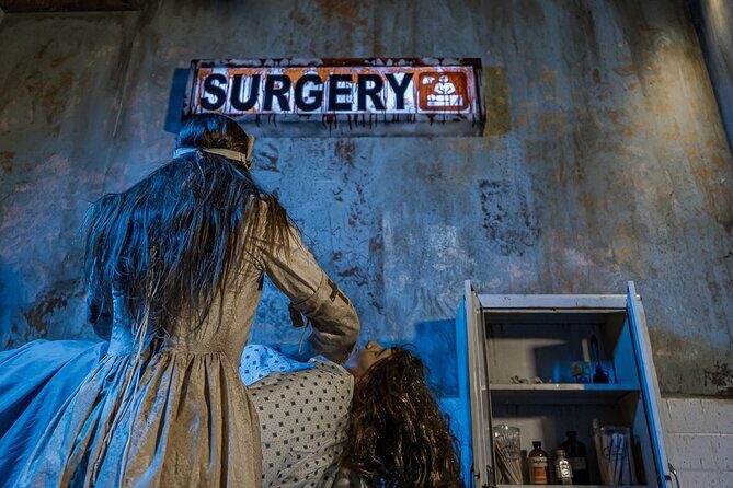 Asylum Escape Room Experience in Avondale - The Experience: How It Unfolds