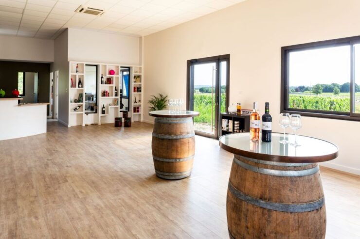 At the Gates of Toulouse: From the Vine to the Cellar - Tour Overview